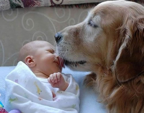 Bebé y mascota en casa