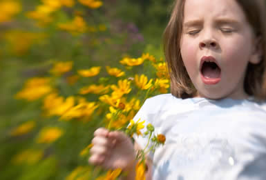 Consejo para padres: cómo cuidar a los niños de las alergias en la escuela