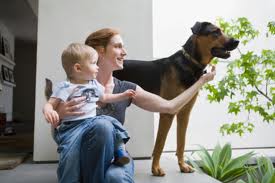 Consejos para manejar situación de la llegada del bebé y mantener un perro en casa