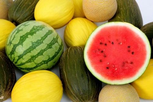 Frutas de verano nutritivas y refrescantes