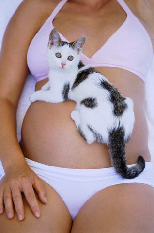 La realidad de los gatos en el embarazo