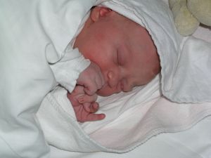 Primeros días de vida del bebé (II)