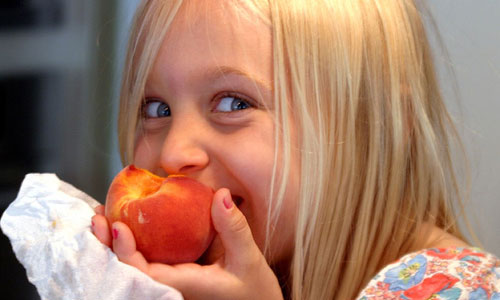 Top 10: bocadillos saludables para los niños